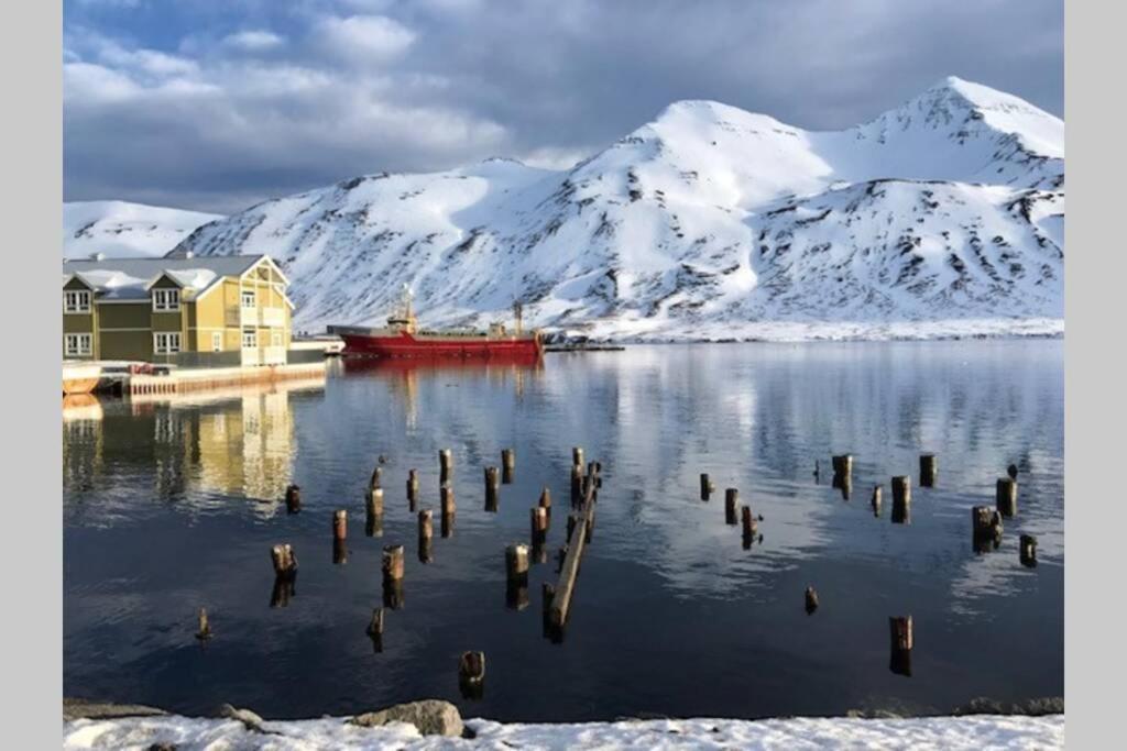House With A Warm Soul In North Iceland Siglufjordur ภายนอก รูปภาพ